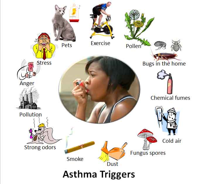 Triggers Of Asthma
