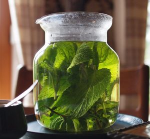 Lemon Balm infusing in hot water